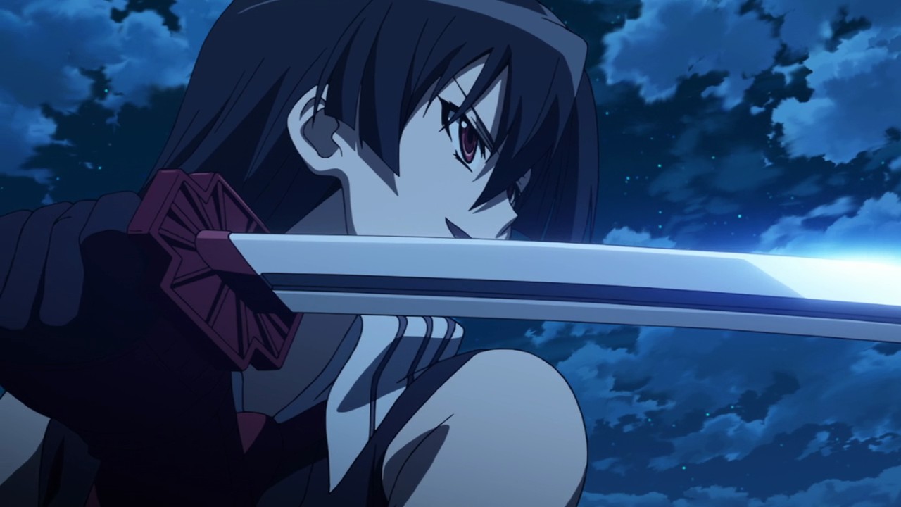 Akame Ga Kill! A Review